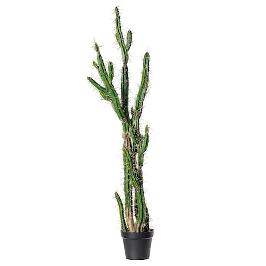 5ft. Potted Green Cactus